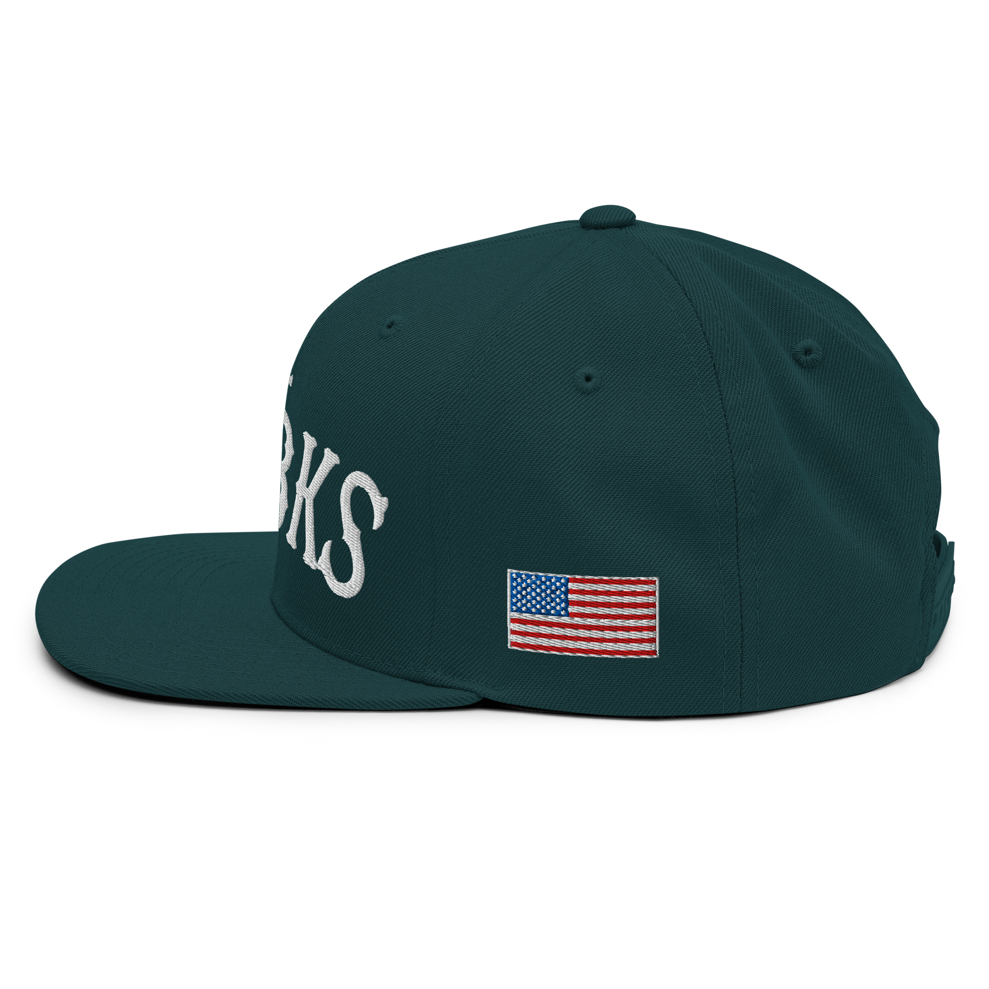 Drt Bks SoCal Snapback Hat